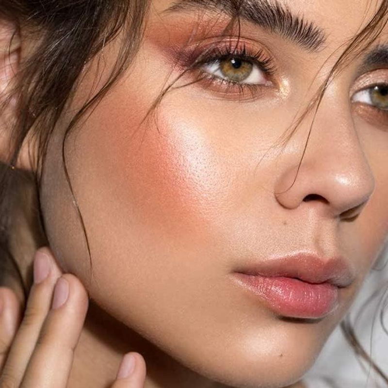 Highlighter Powder Champagne | PuroBio