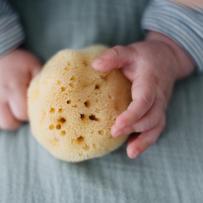 Naturlig Babysvamp - Plastfri | Croll & Denecke